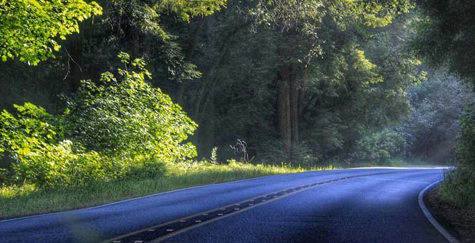 EXCEPTEUR SINT OCCAECAT CUPIDATAT NON